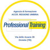Logo Professional Training